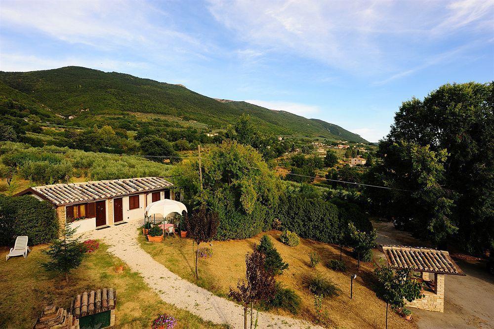 Maison d'hôtes Colle Degli Olivi Snc à Assise Extérieur photo